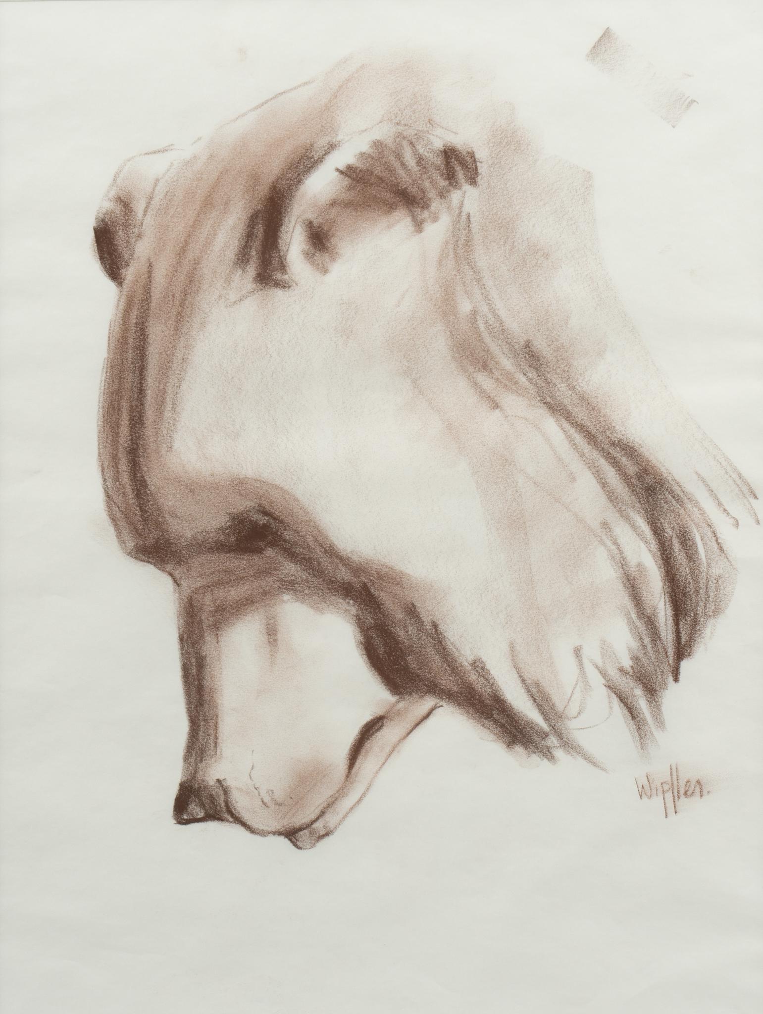 Kathy Wipfler, "Grizzly Head Study" (1 of 5)