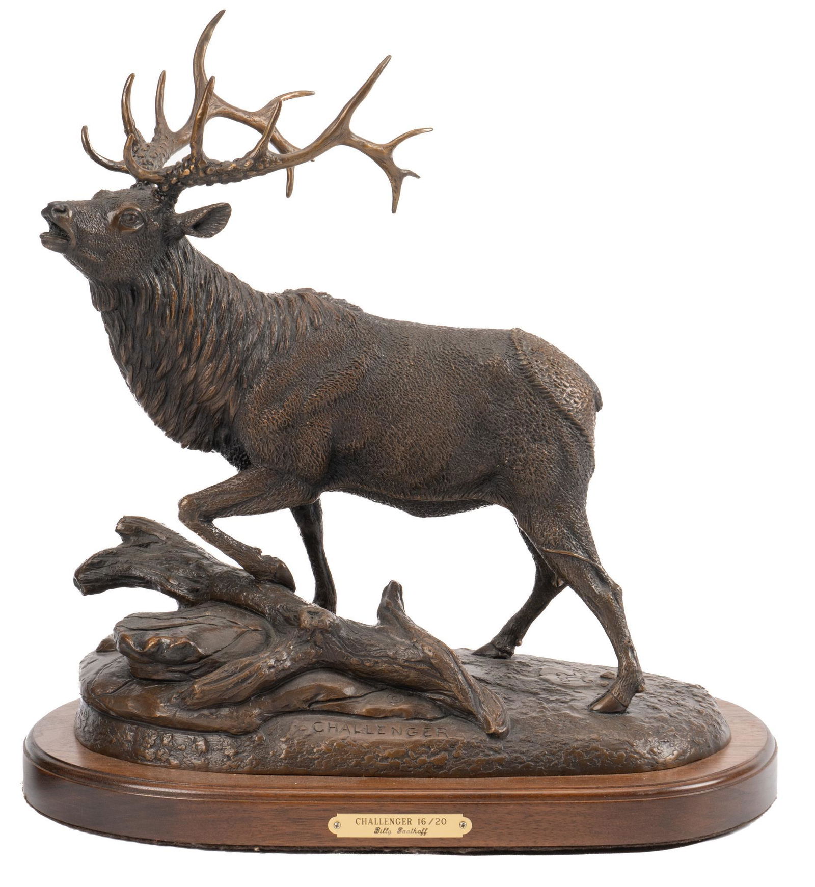 Billy Saathoff, "The Challenger" (1 of 11)