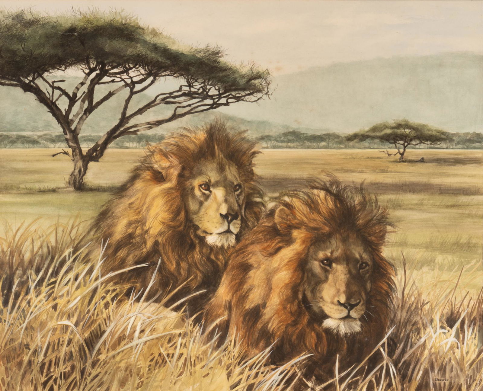 Anne Ducote, Two Lions (1 of 4)