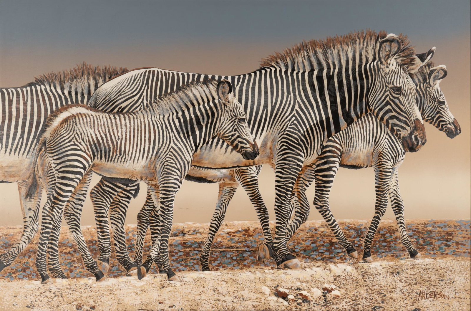 Signed Anderson, Zebras: Signed Anderson, zebras, oil and mixed media on canvas Provenance: A Rockport, Texas collection sight: 39.5 x 59 in., frame: 41 x 61.5 in. We happily provide seamless shipping services on everything w