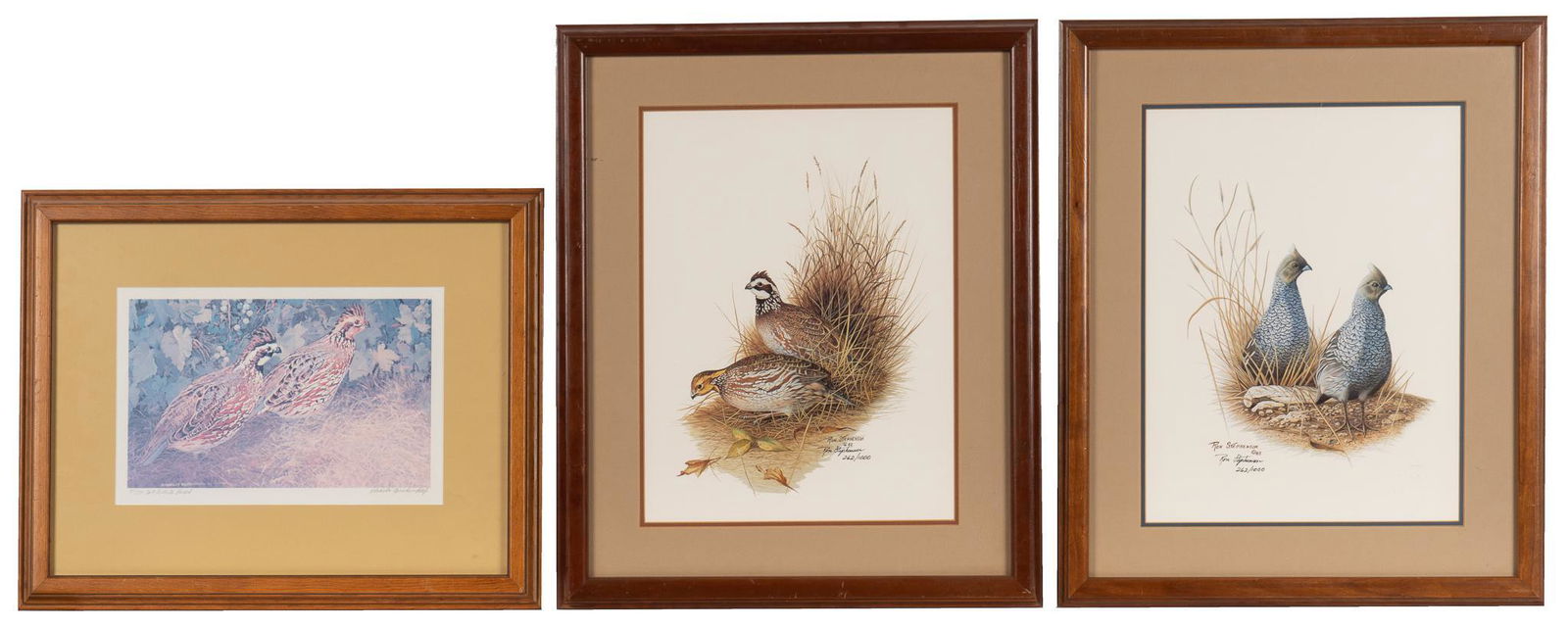 (3) Signed Quail Prints (1 of 9)