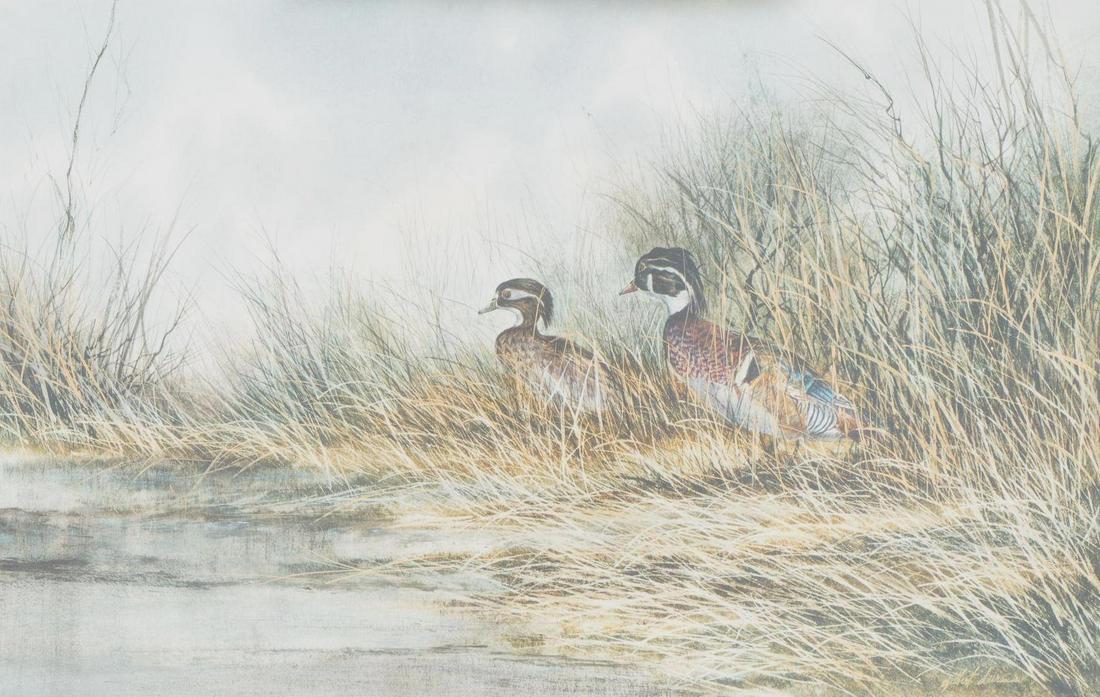 Gilbert Duran, Wood Ducks (1 of 4)