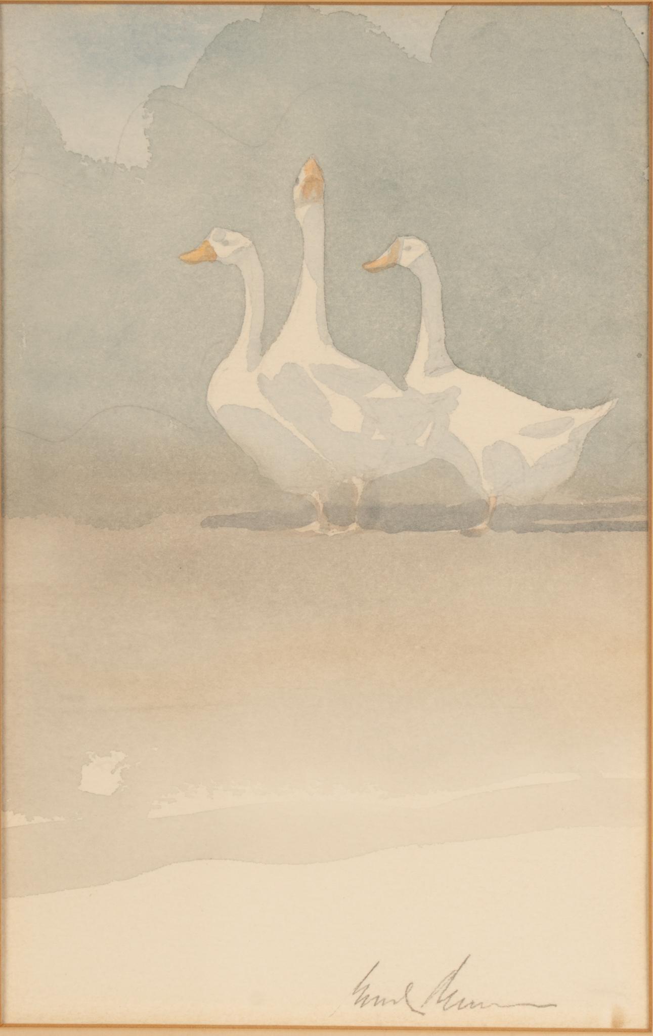 Brad Braune, Geese (1 of 4)