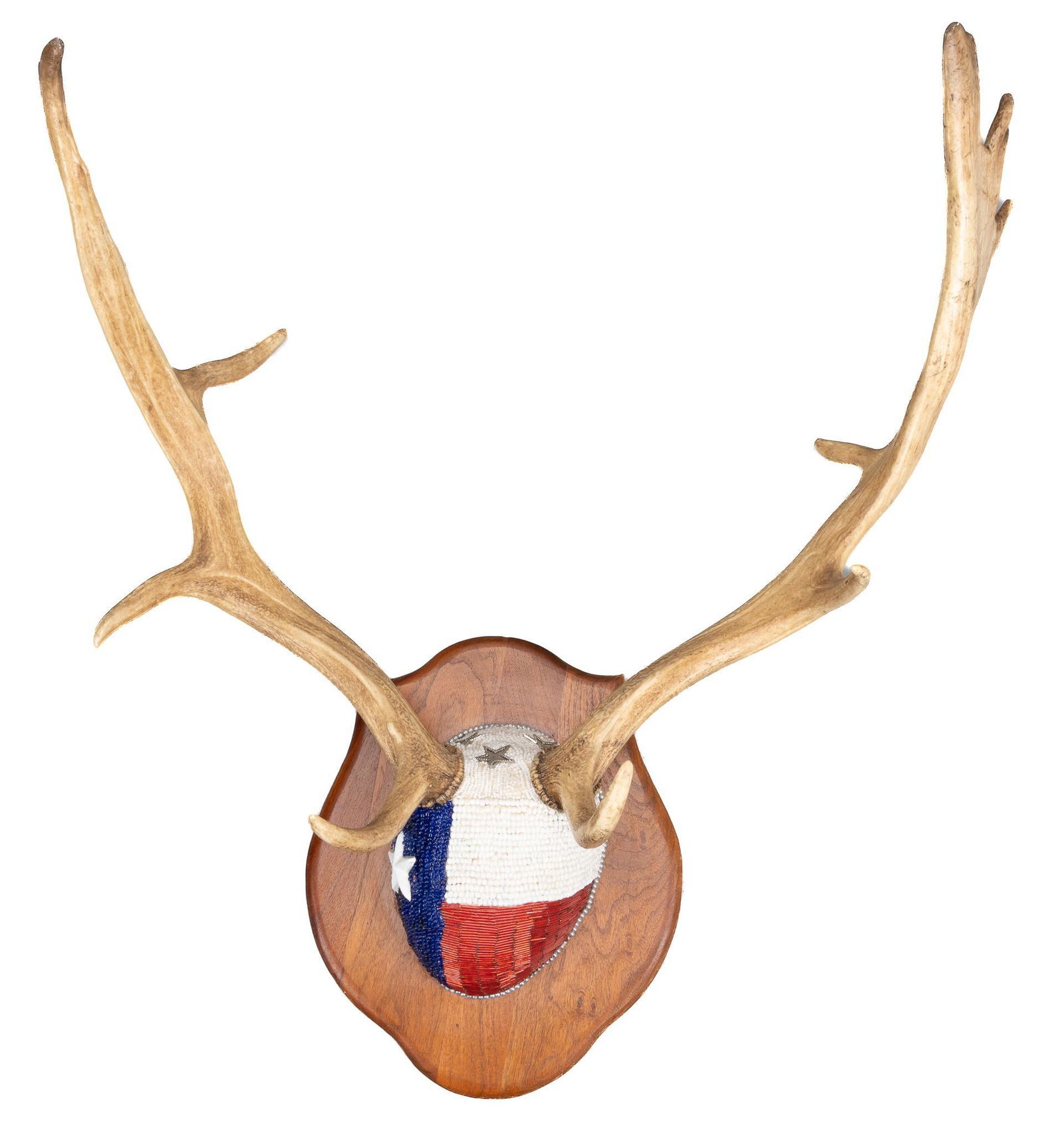 Beaded Texas Taxidermy Deer Antler Display (1 of 5)
