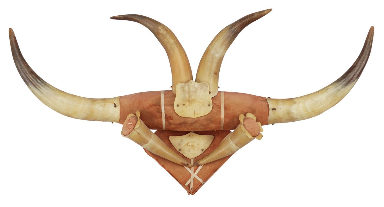 Taxidermy Horn Wall Display (1 of 6)
