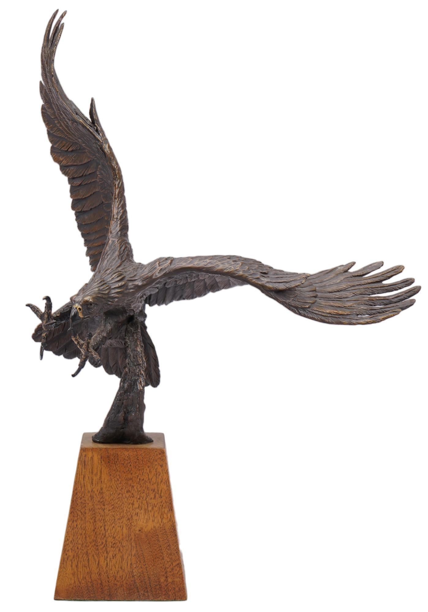 James Taylor, Eagle in Flight (1 of 4)