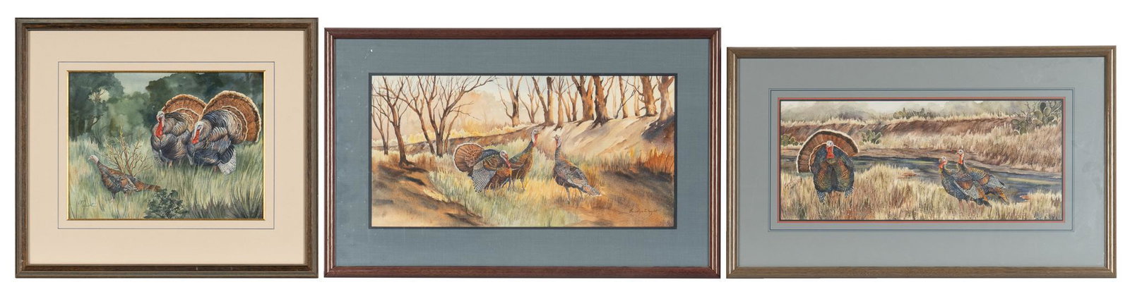 Carolyn Wright, (3) Turkey Watercolors (1 of 9)