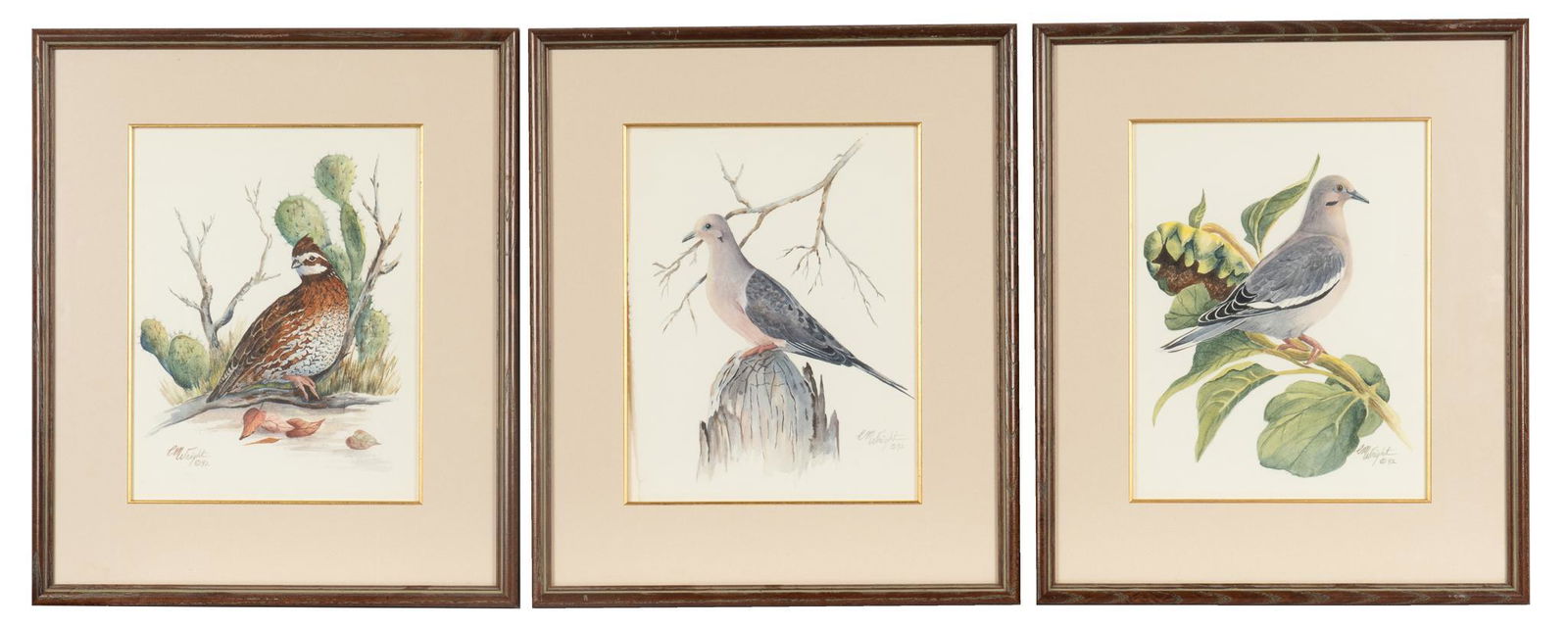 Carolyn Wright, (3) Texas Bird Watercolors (1 of 8)