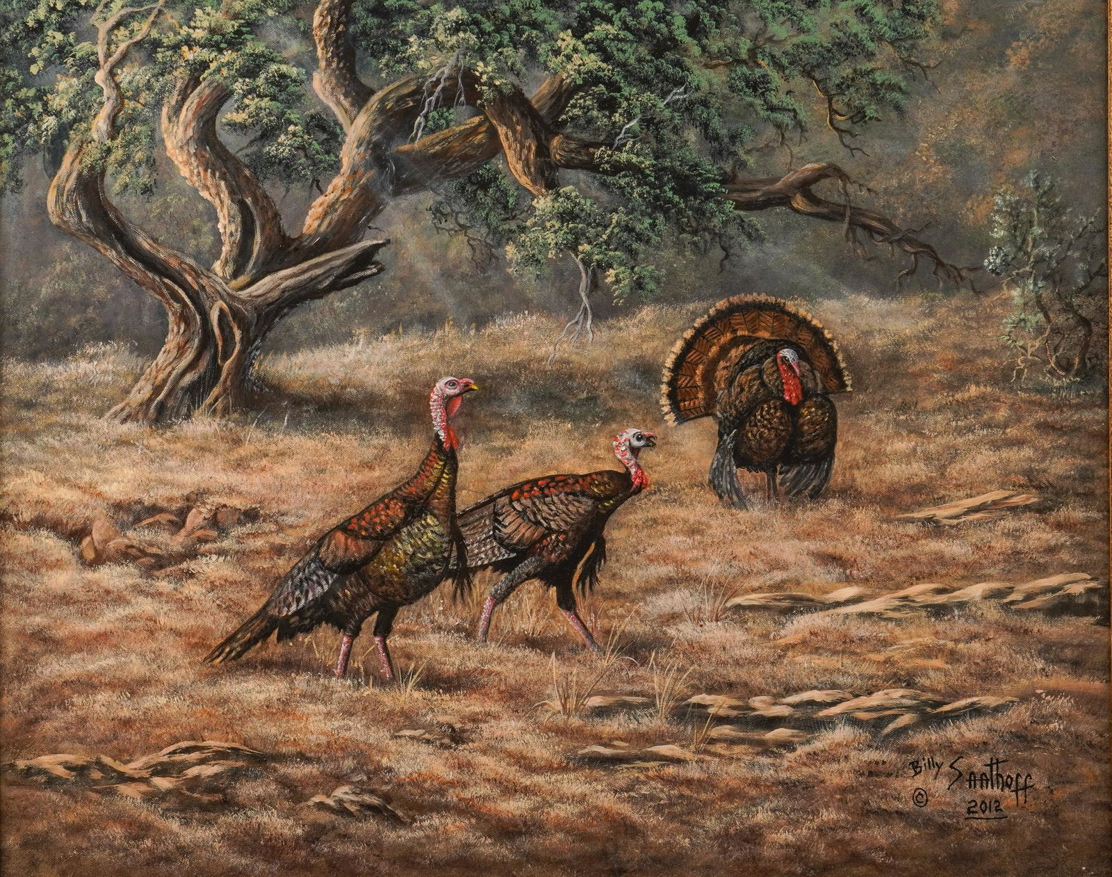 Billy Saathoff, "Texas Toms" (1 of 5)