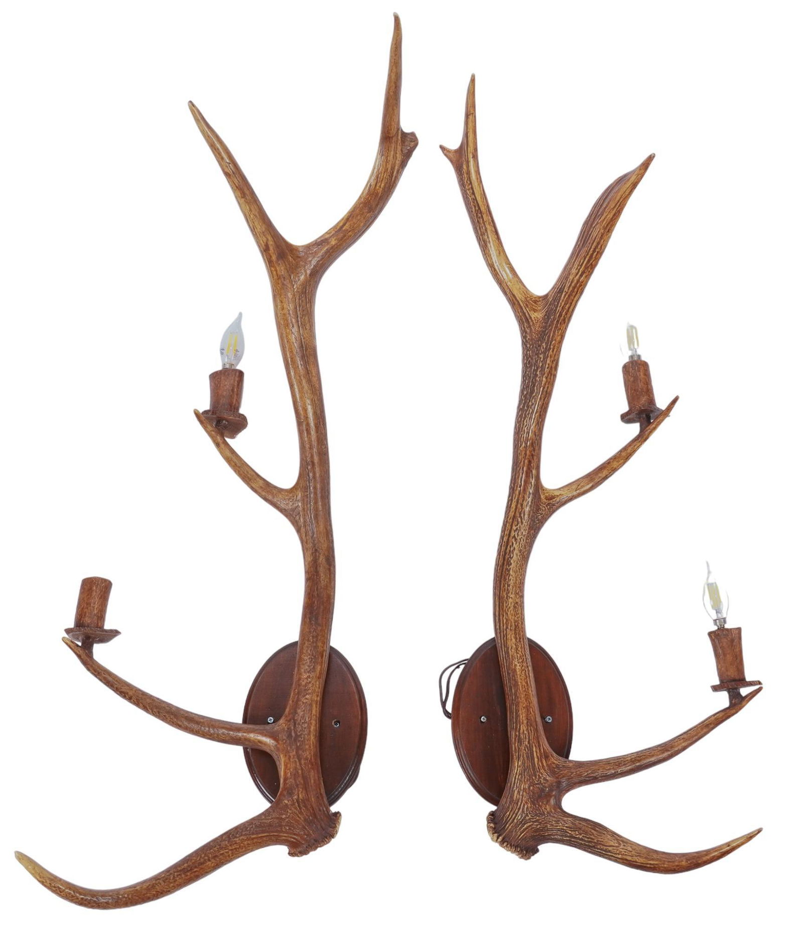 Antler Wall Sconces (1 of 6)