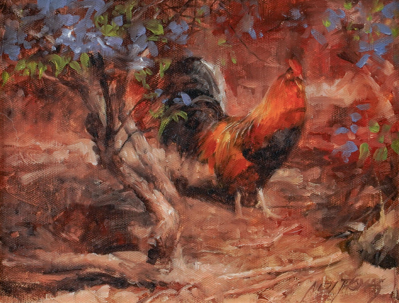 Andy Thomas, Rooster (1 of 5)