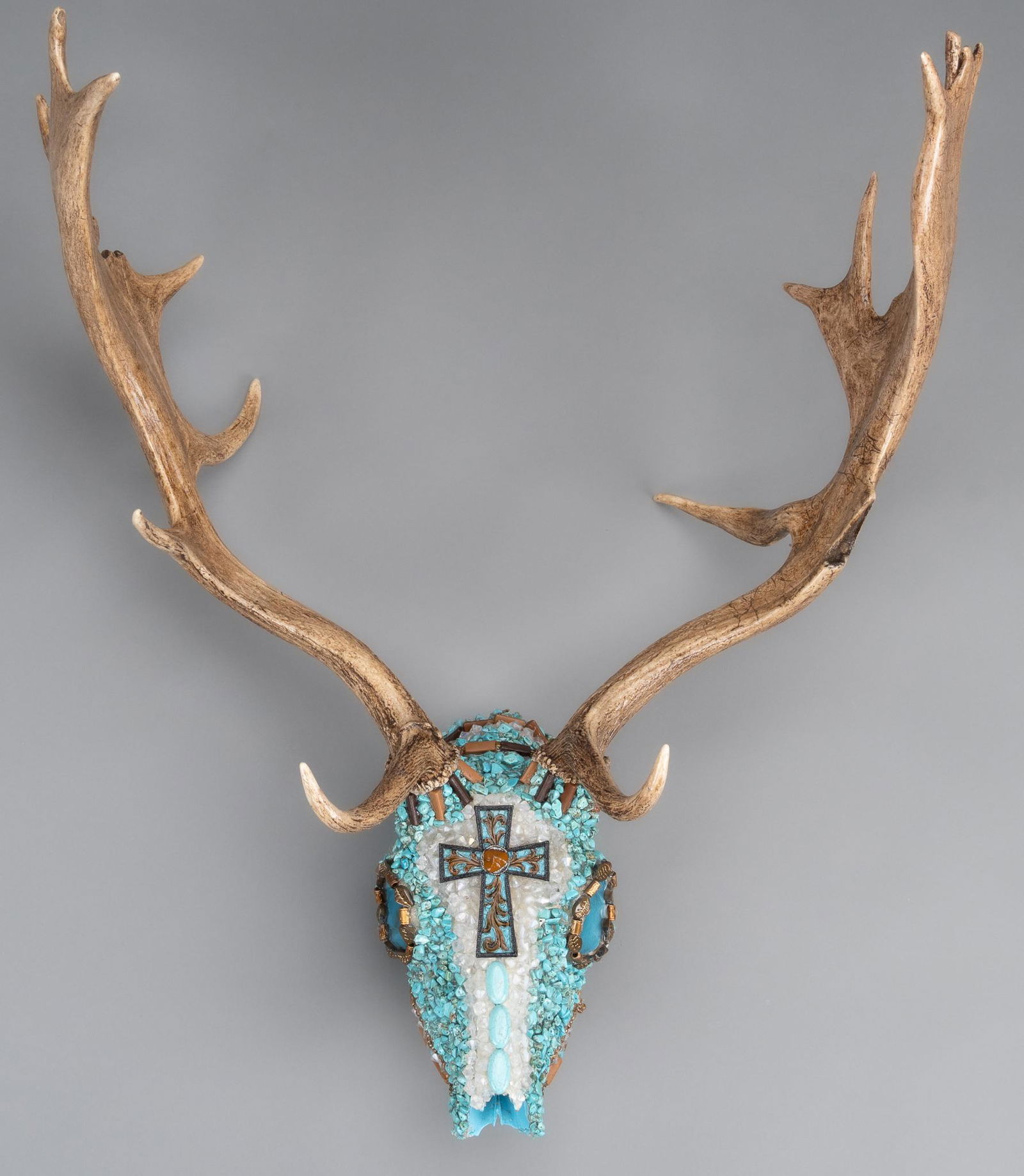 Turquoise Deer Skull Taxidermy Display (1 of 3)