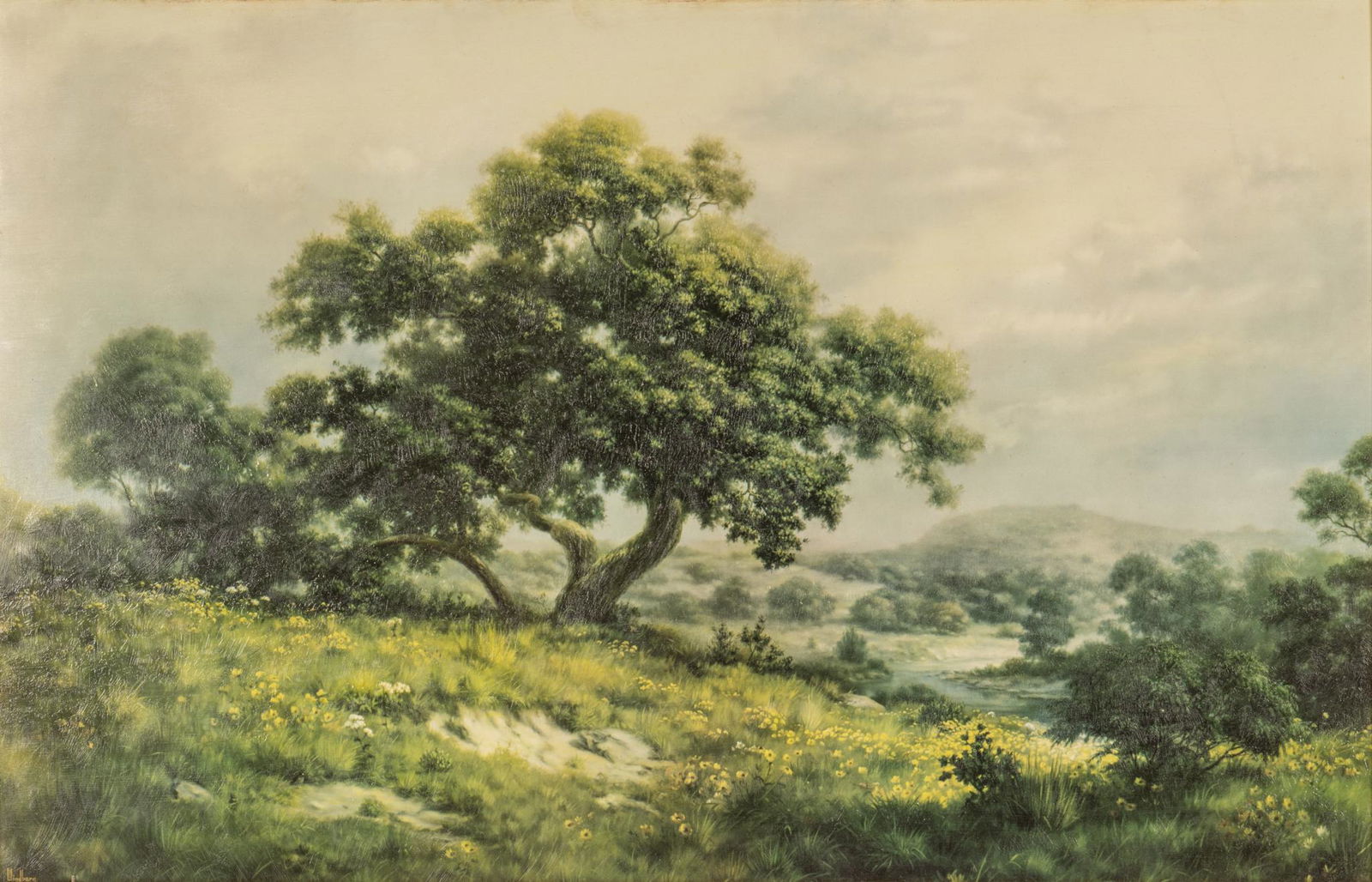 Dalhart Windberg, Oak Tree Giclee (1 of 5)
