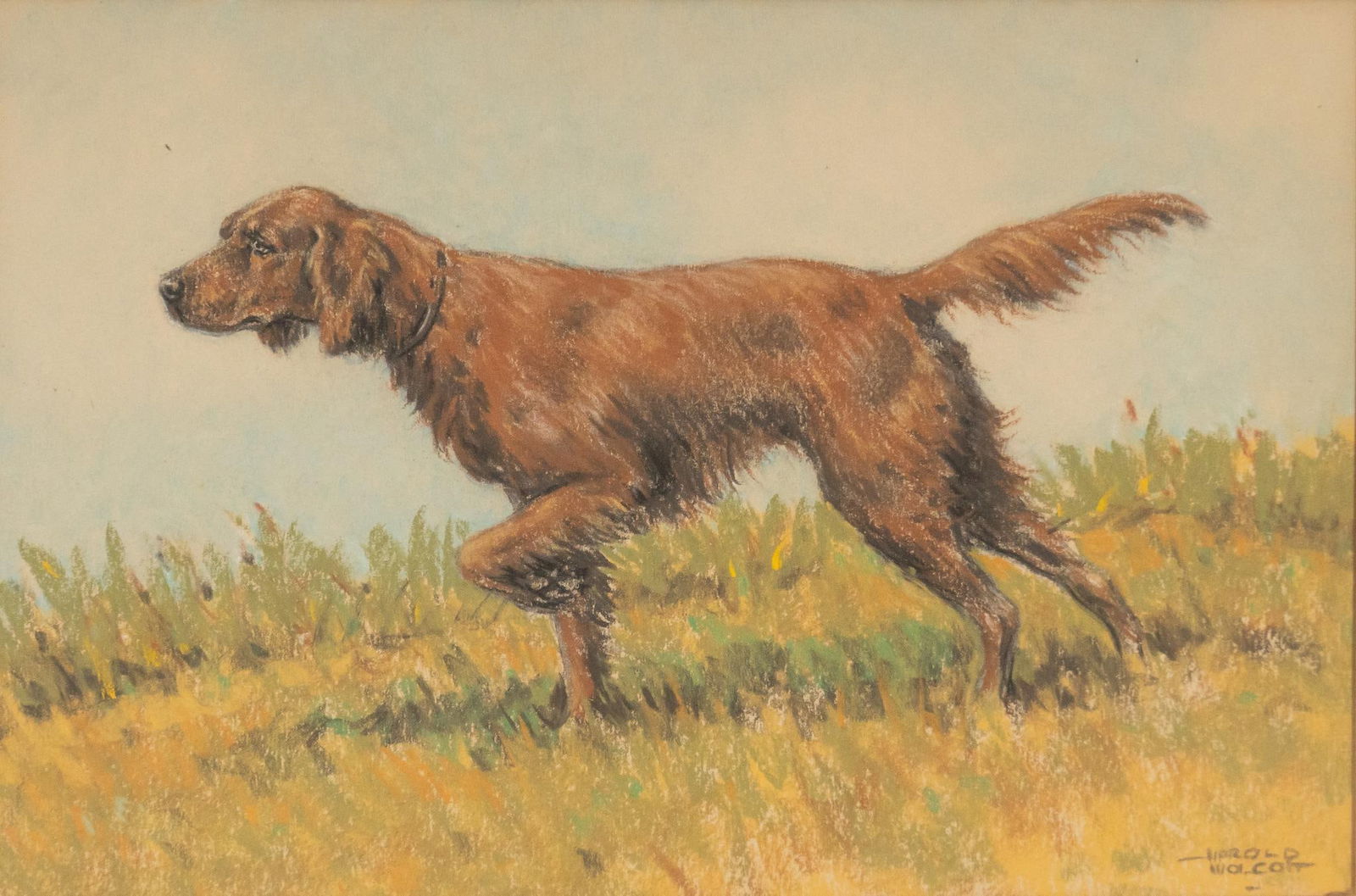 Harold Wolcott, Irish Setter (1 of 4)