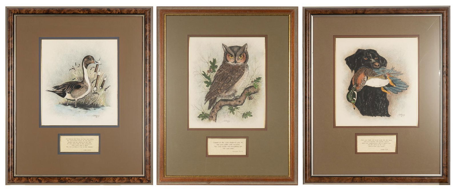 Mark Catesby, (3) Wildlife Prints: Mark Catesby, (3) lithographs of wildlife, matted with scripture quotes in the frame, to include duck, owl, and black Labrador with duck in his mouth We happily provide seamless shipping services on