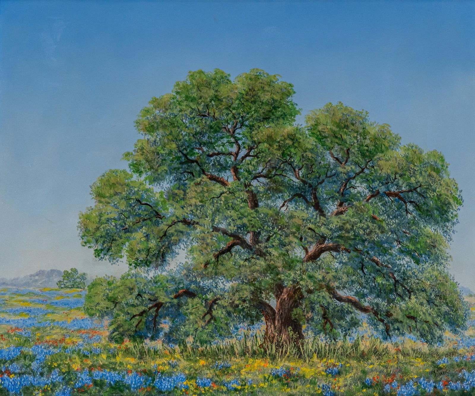 Irene Frazier, Oak Tree (1 of 4)