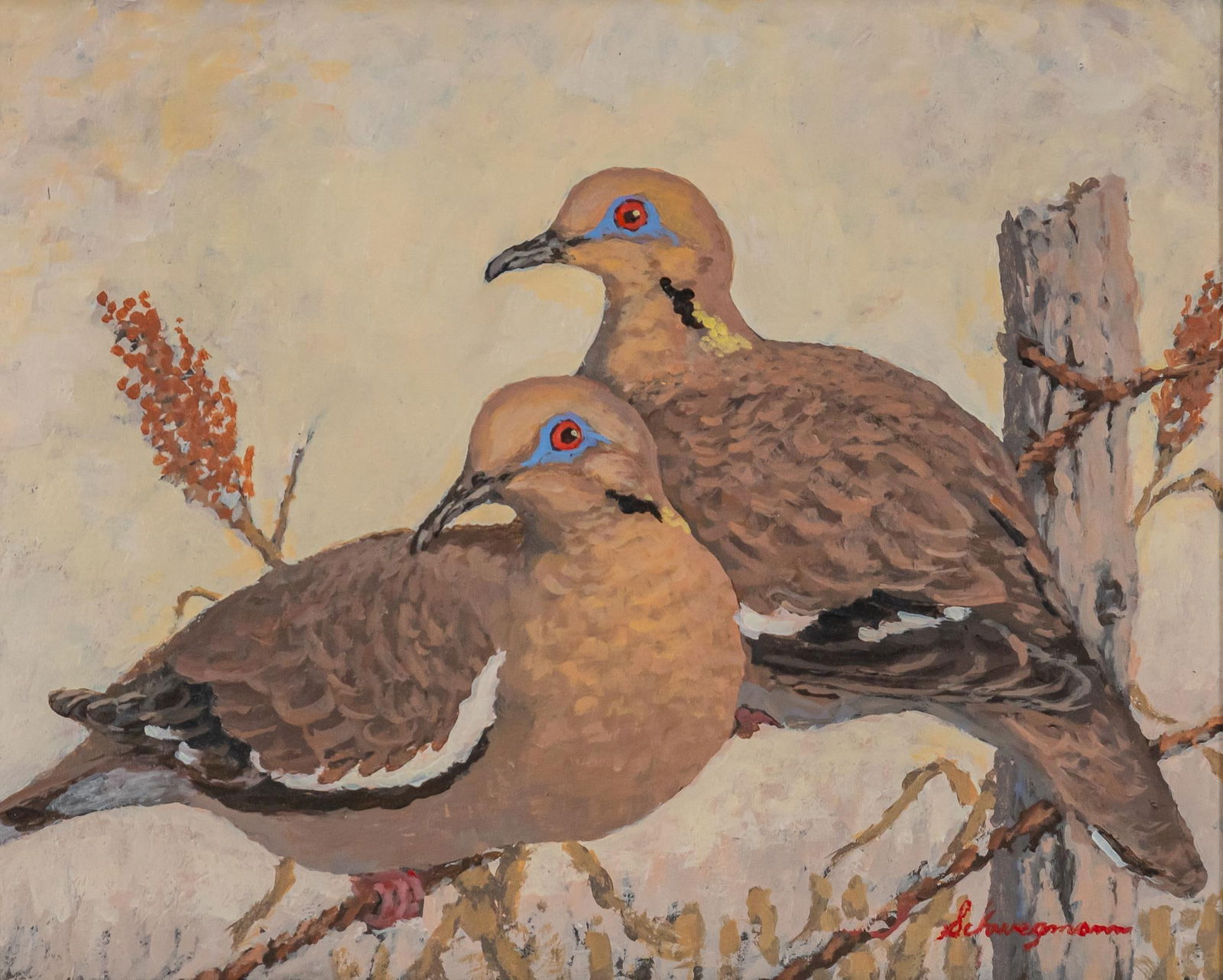 George Schwegmann, White Wing Doves (1 of 4)