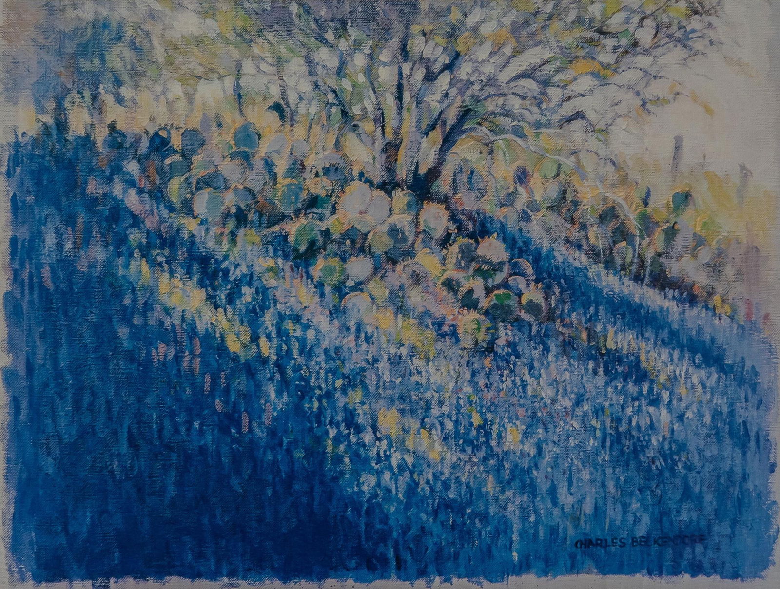 Charles Beckendorf,  Bluebonnets and Cactus, 92/500 (1 of 5)