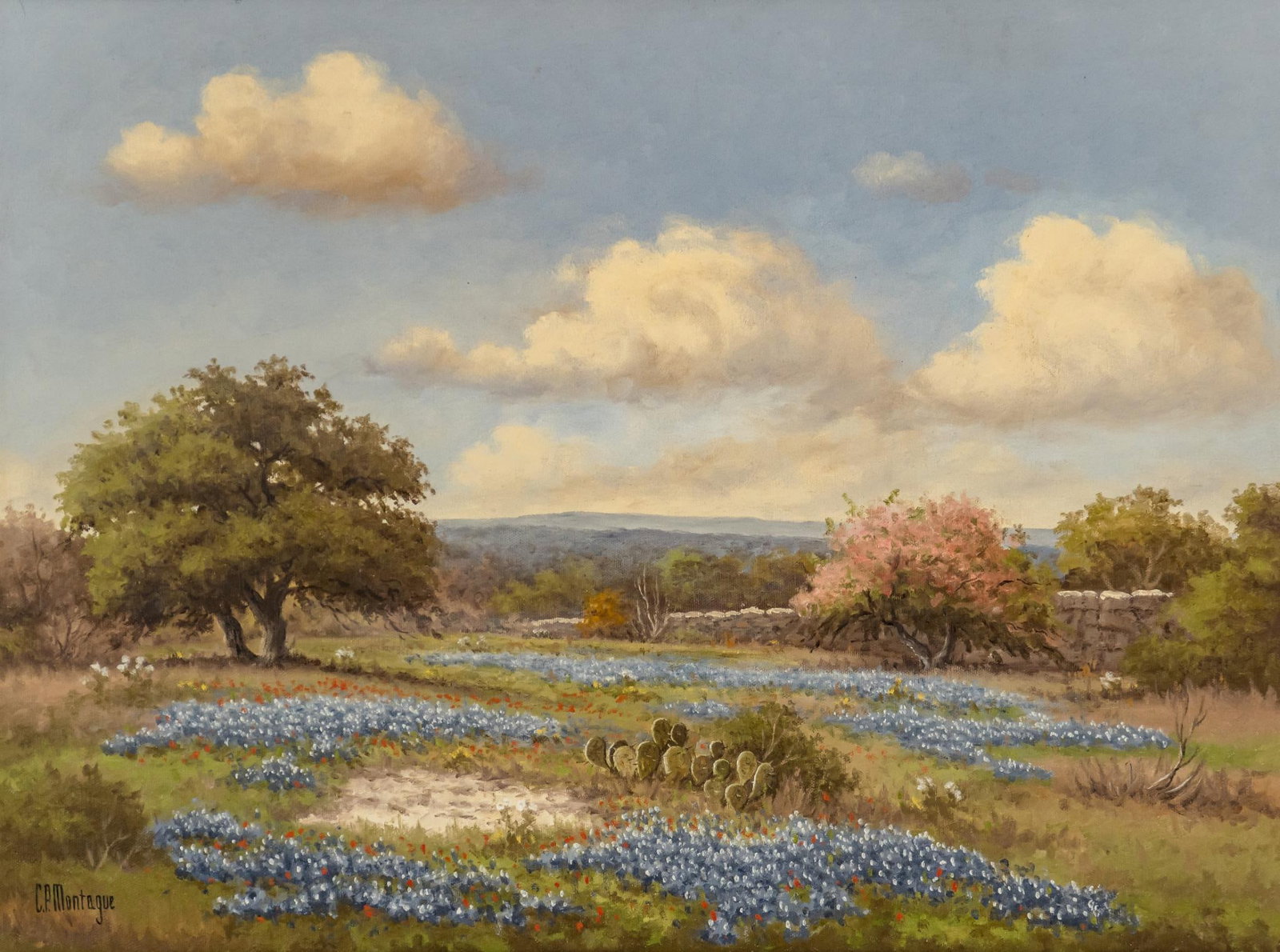 C. P. Montague, Bluebonnet Landscape (1 of 5)