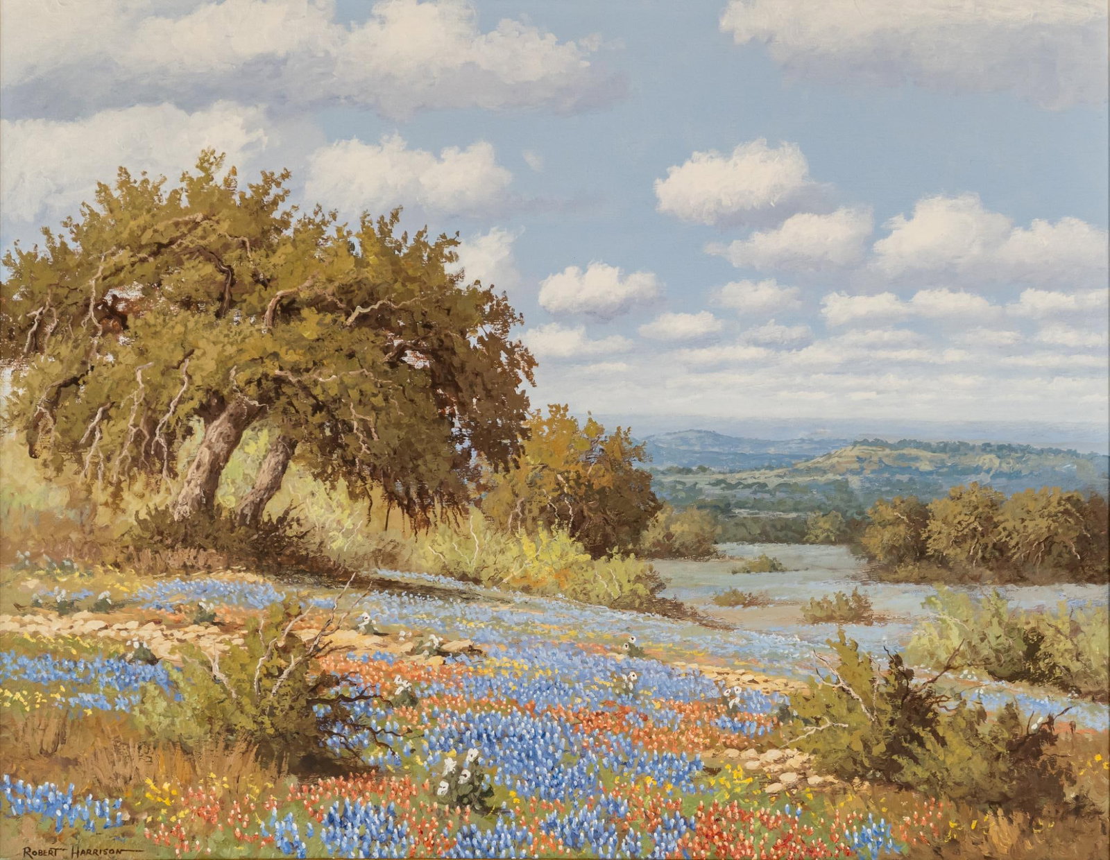 Robert Harrison, Bluebonnets Landscape (1 of 4)