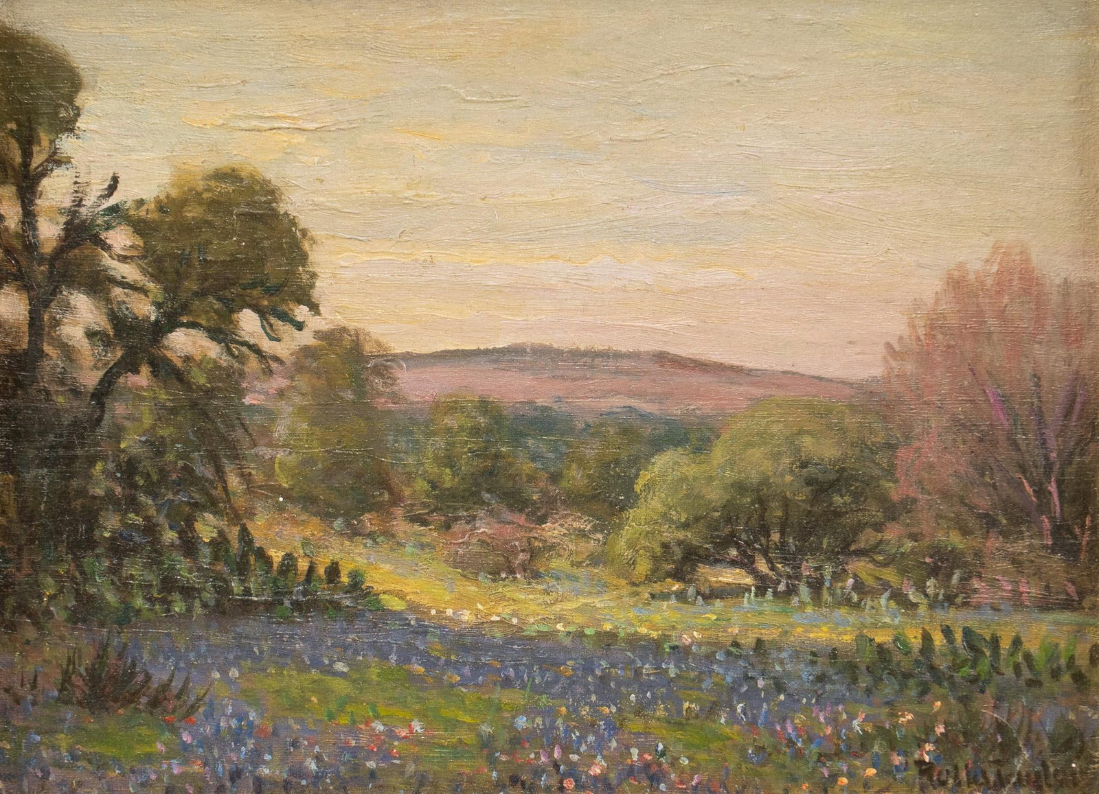 Rolla Taylor, Bluebonnet Landscape (1 of 4)