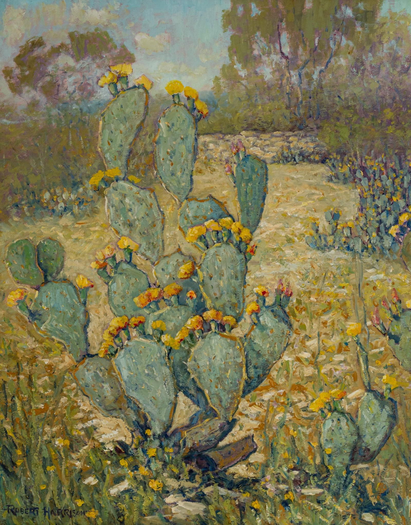 Robert Harrison, "Cactus on Kip's Ranch" (1 of 5)