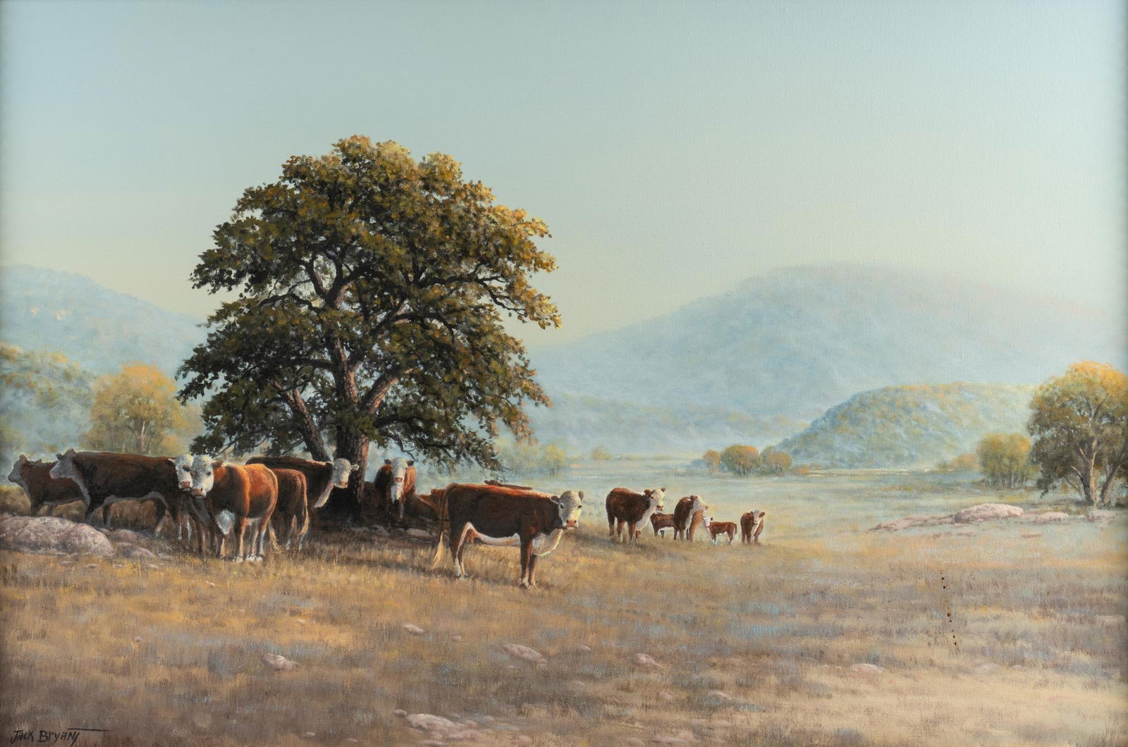 Jack Bryant, Cattle and Oak Tree (1 of 4)