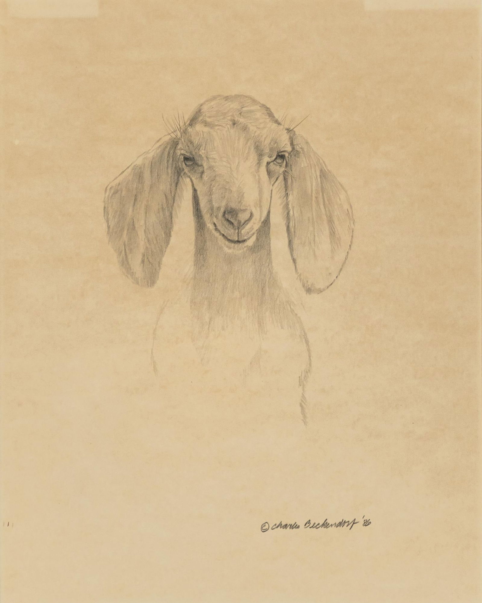 Charles Beckendorf, Baby Goat Portrait, 1986 (1 of 5)