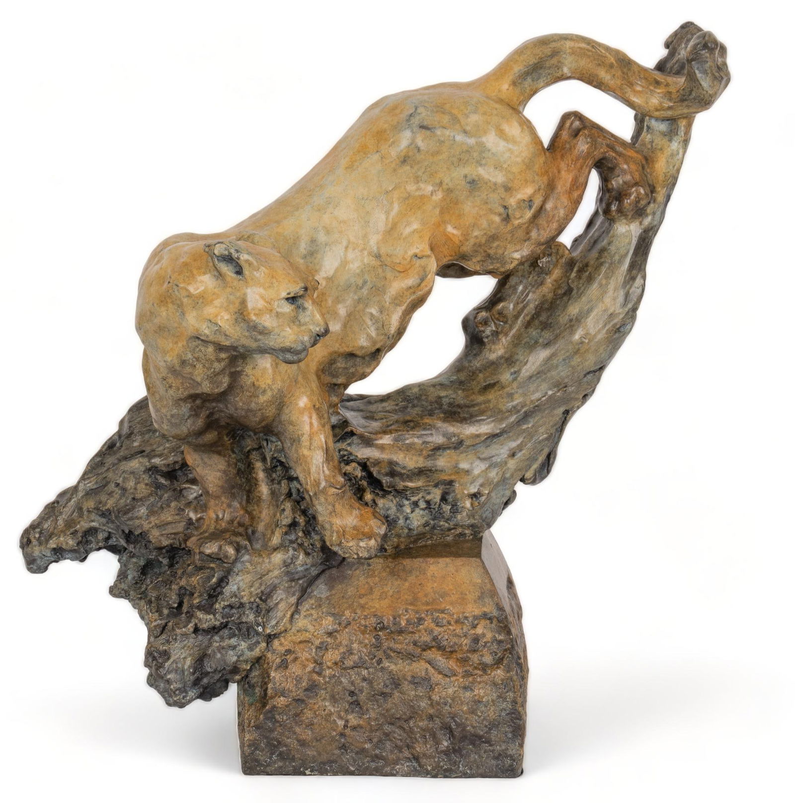 Sherry Sander, Mountain Lion (1 of 4)