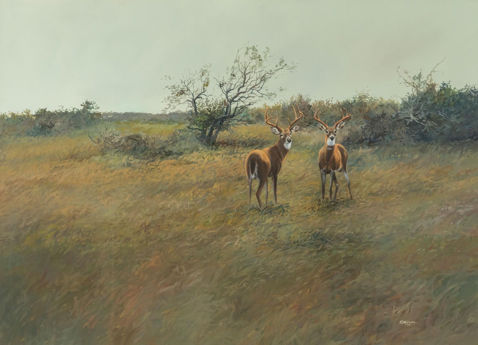 James Robinson, Two Bucks, 1974 (1 of 4)