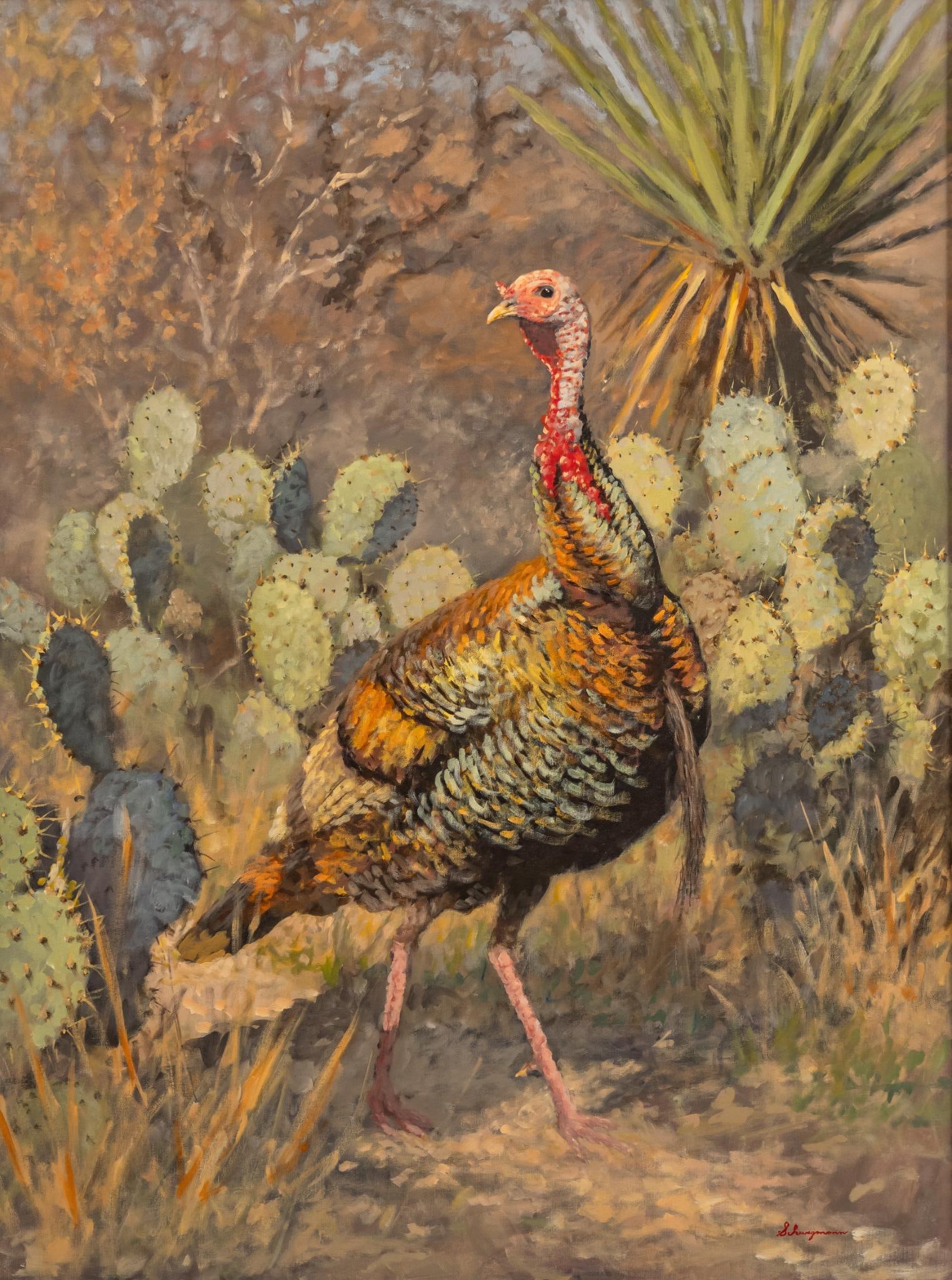 George Schwegmann, Majestic Turkey with Cactus (1 of 4)