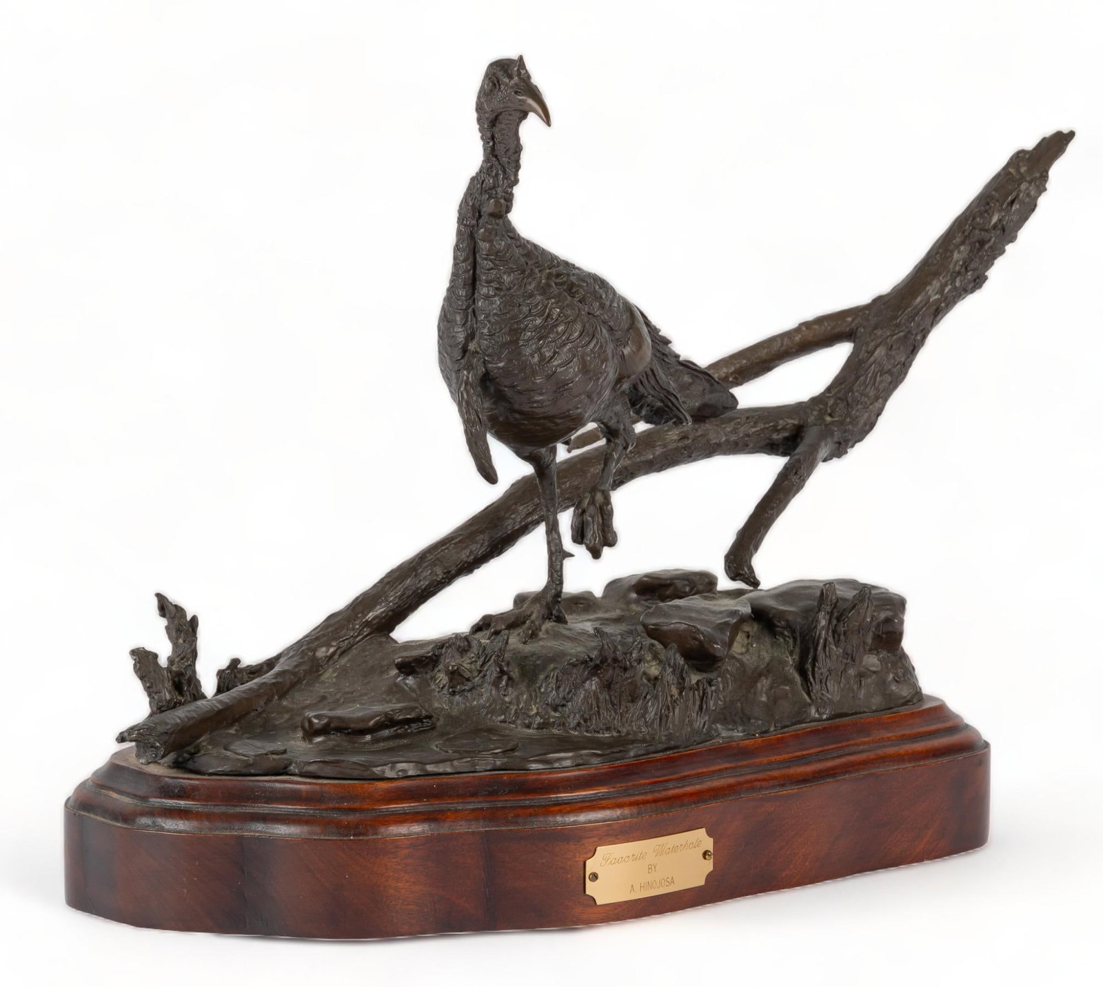 Armando Hinojosa, "Favorite Water Hole" (1 of 6)