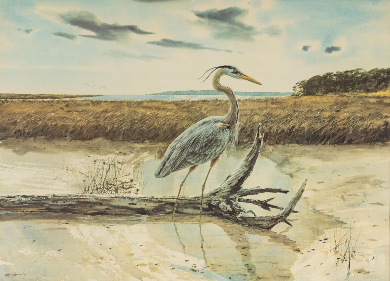 Clay McGaughy, Blue Heron (1 of 4)
