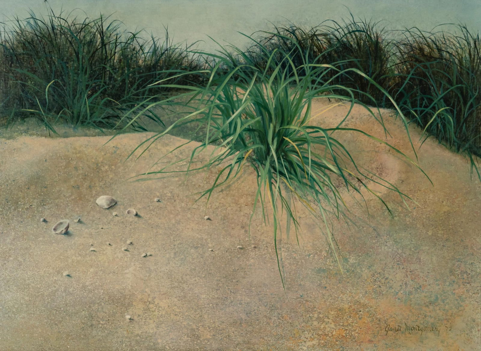 Janet Montgomery, "Beach Grass", 1972 (1 of 4)
