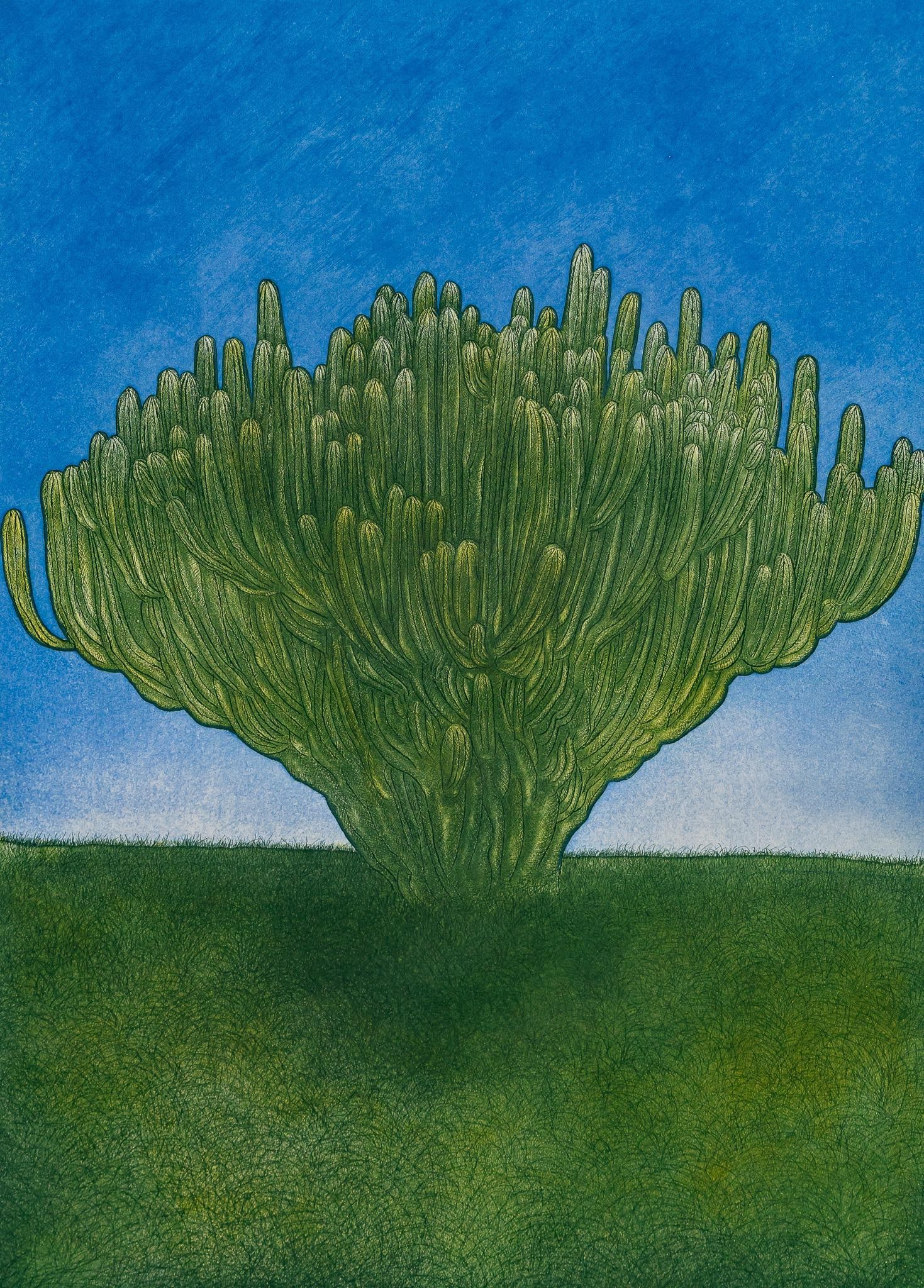 Abelardo Lopez Moreno, Cactus: Albelardo Lopez Moreno (b. 1957, Mexico), "Cactus", signed and numbered print, edition 7 of 90 sight: 27 x 19 in., frame: 41.5 x 33 in. Provenance: Property from the life-long Mexican folk a