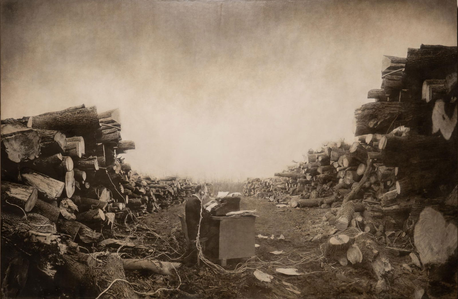 Robert ParkeHarrison "Tree Stories" Photograph, 2000: Robert ParkeHarrison (b. 1968 USA) "Tree Stories" 2000, mixed-media photograph, 3 of 4 printed editions, signed and dated by artist on back, originally displayed in the lobby of Bill Wittliff&