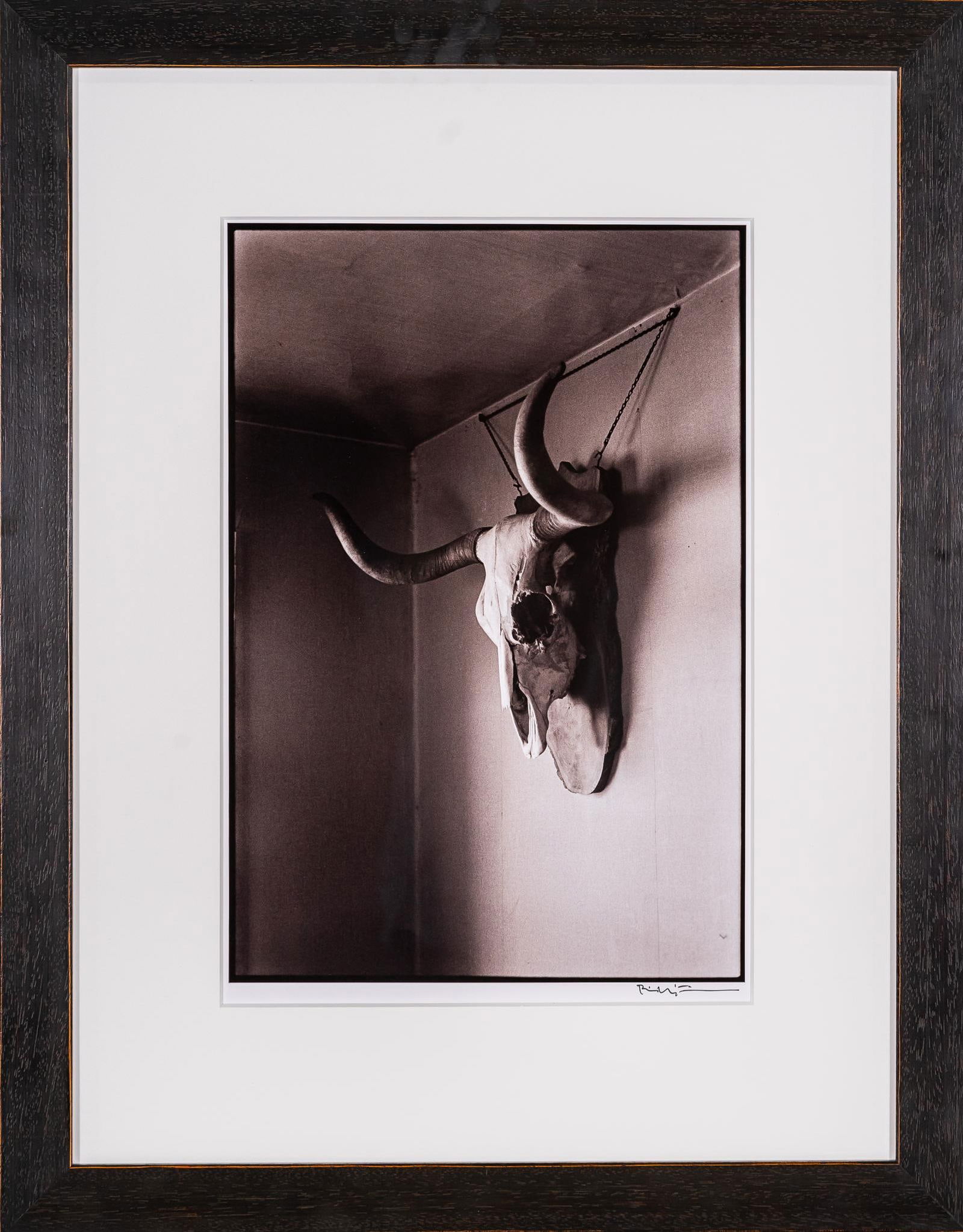 Hanging Skull, Signed Bill Wittliff Photograph: Bill Wittliff (1940-2019, USA) hanging skull, 20th century photograph taken at Paisano Ranch (the country retreat of J. Frank Dobie) of a hanging skull mount, framed and matted by John Scott (Austin,