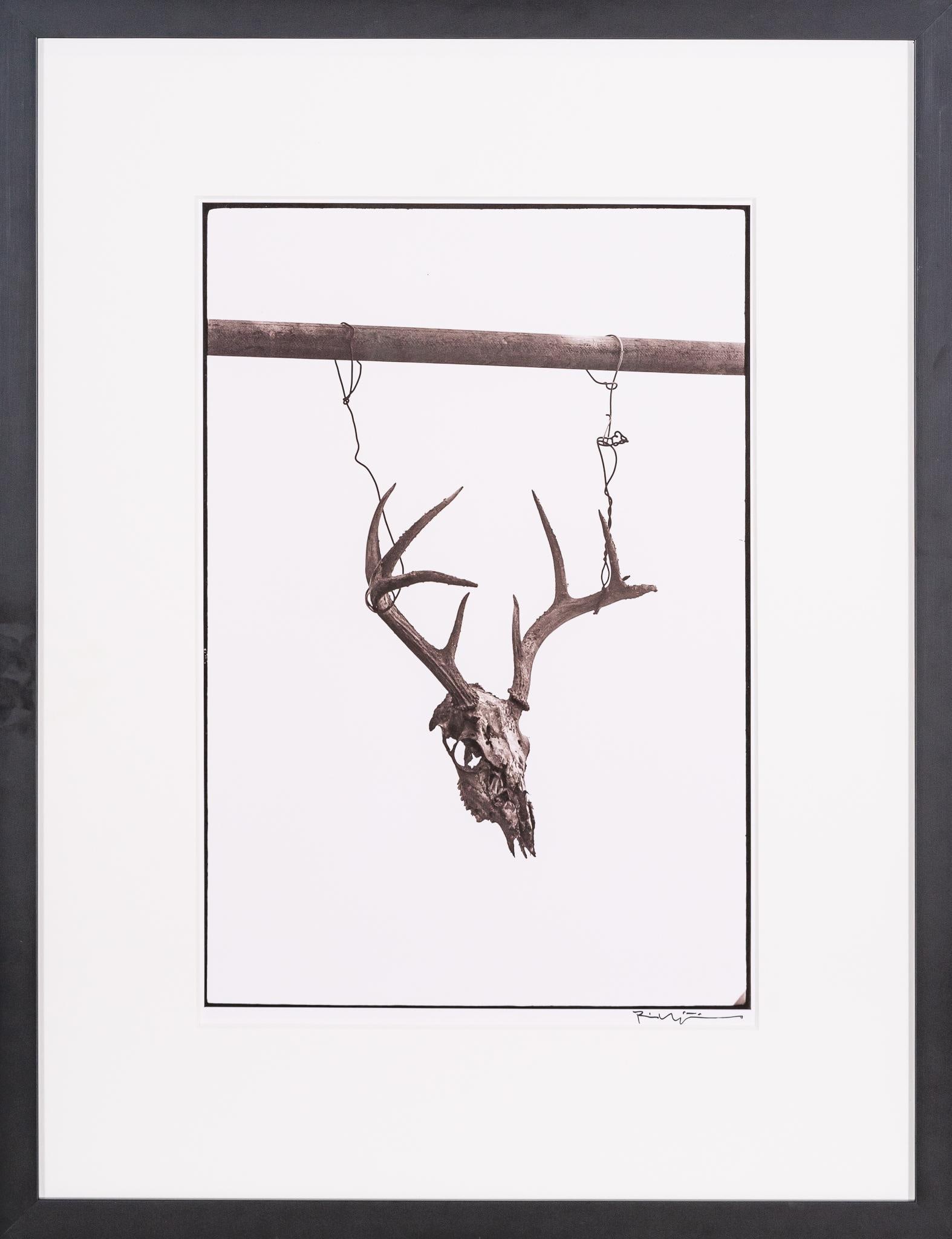Horned Skull, Signed Bill Wittliff Photograph: Bill Wittliff (1940-2019, USA) horned skull, 20th century photograph taken of a deer skull mount suspended with wires, framed and matted by John Scott (Austin, Texas) under museum glass, hand-signed b