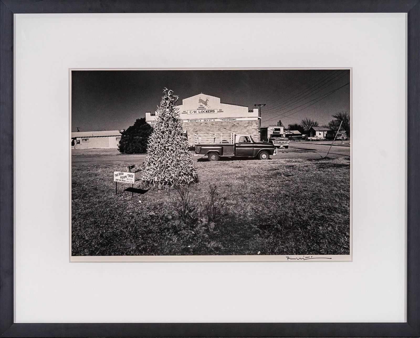 Deer Horn Tree, Signed Bill Wittliff Photograph: Bill Wittliff (1940-2019, USA) Deer Horn Tree, 20th century photograph taken of Deer Horn Tree, a tourist attraction located in Junction, Texas, framed and matted by John Scott (Austin, Texas) under m