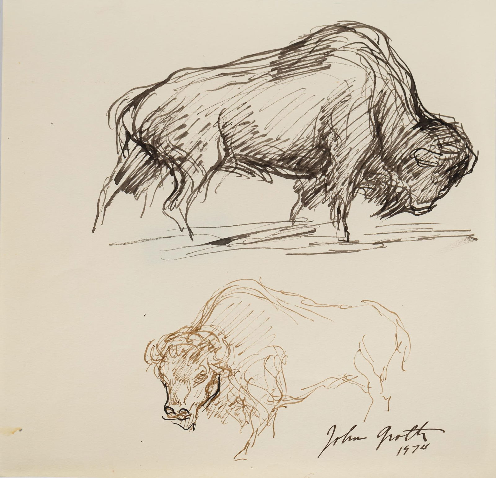 John Groth, Buffalo Study: John Groth, buffalo study, 1974, ink on paper, on artist paper, in protective sleeve size: 10 x 11 in. We happily provide seamless shipping services on everything we sell. Please email us at shippin