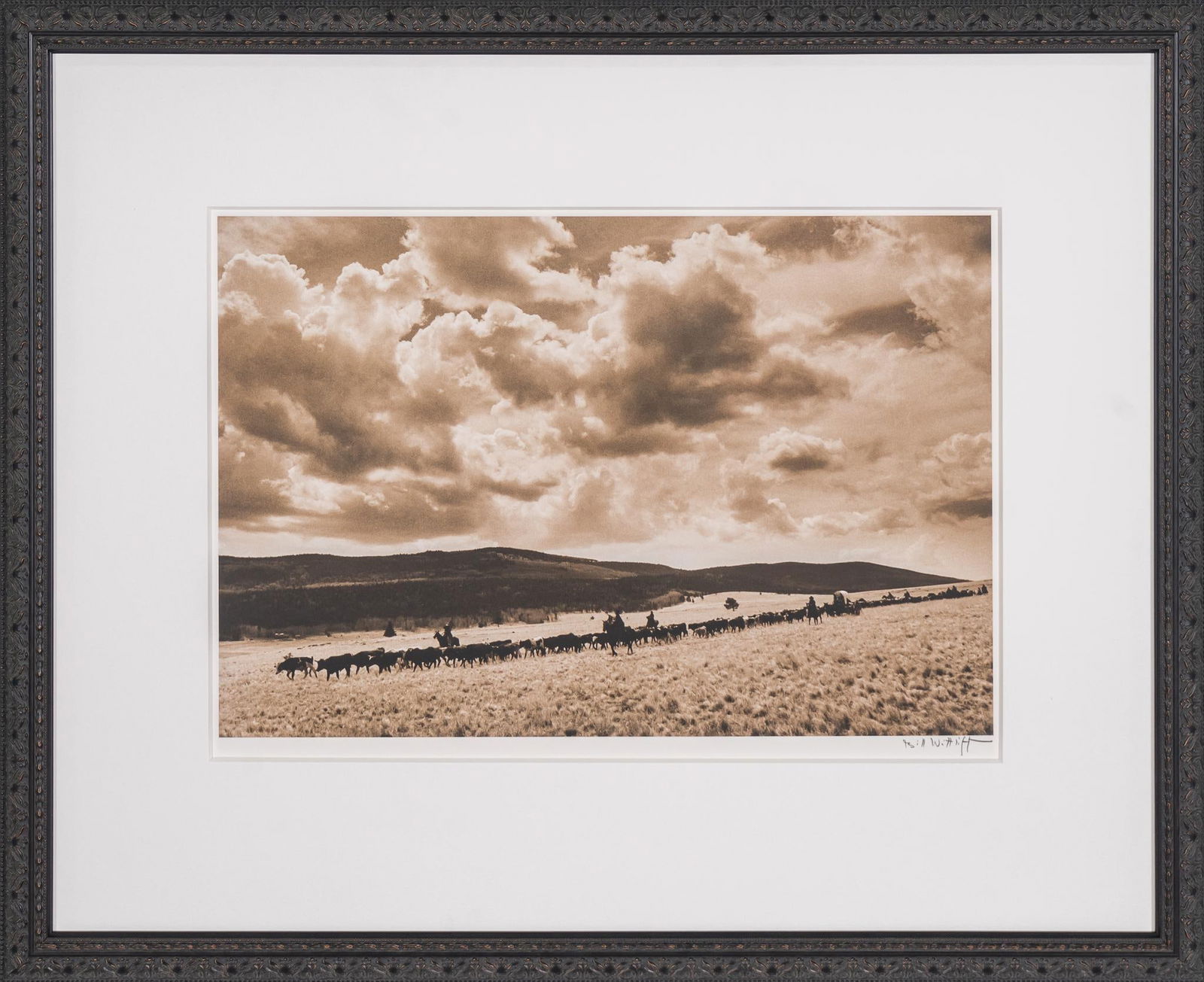 Herd on Plains, Signed Bill Wittliff Photograph: Bill Wittliff (1940-2019, USA) herd on plains, 20th century photograph, framed and matted by John Scott (Austin, Texas) under museum glass, hand-signed by Bill Wittliff at bottom right sight: 13.5 x