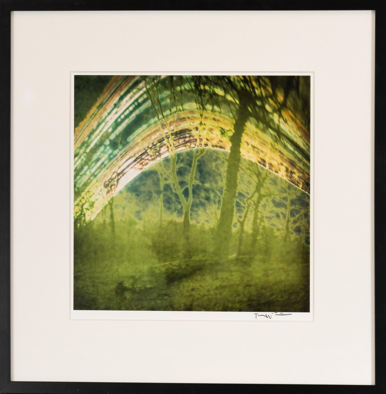 Solargraph, Signed Bill Wittliff Photograph: Bill Wittliff (1940-2019, USA) "Enchanted Forest" (119 days), 20th century solargraph photograph, which is a long-duration image of the sun's path, captured by a pinhole camera, framed and matted by J
