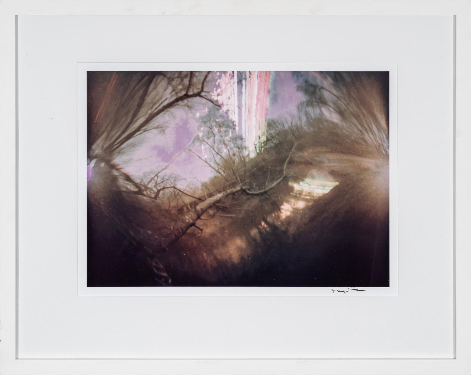 Solargraph, Signed Bill Wittliff Photograph: Bill Wittliff (1940-2019, USA) "Confluence 1" (84 days), 20th century solargraph photograph, which is a long-duration image of the sun's path, captured by a pinhole camera, framed and matted, hand-sig