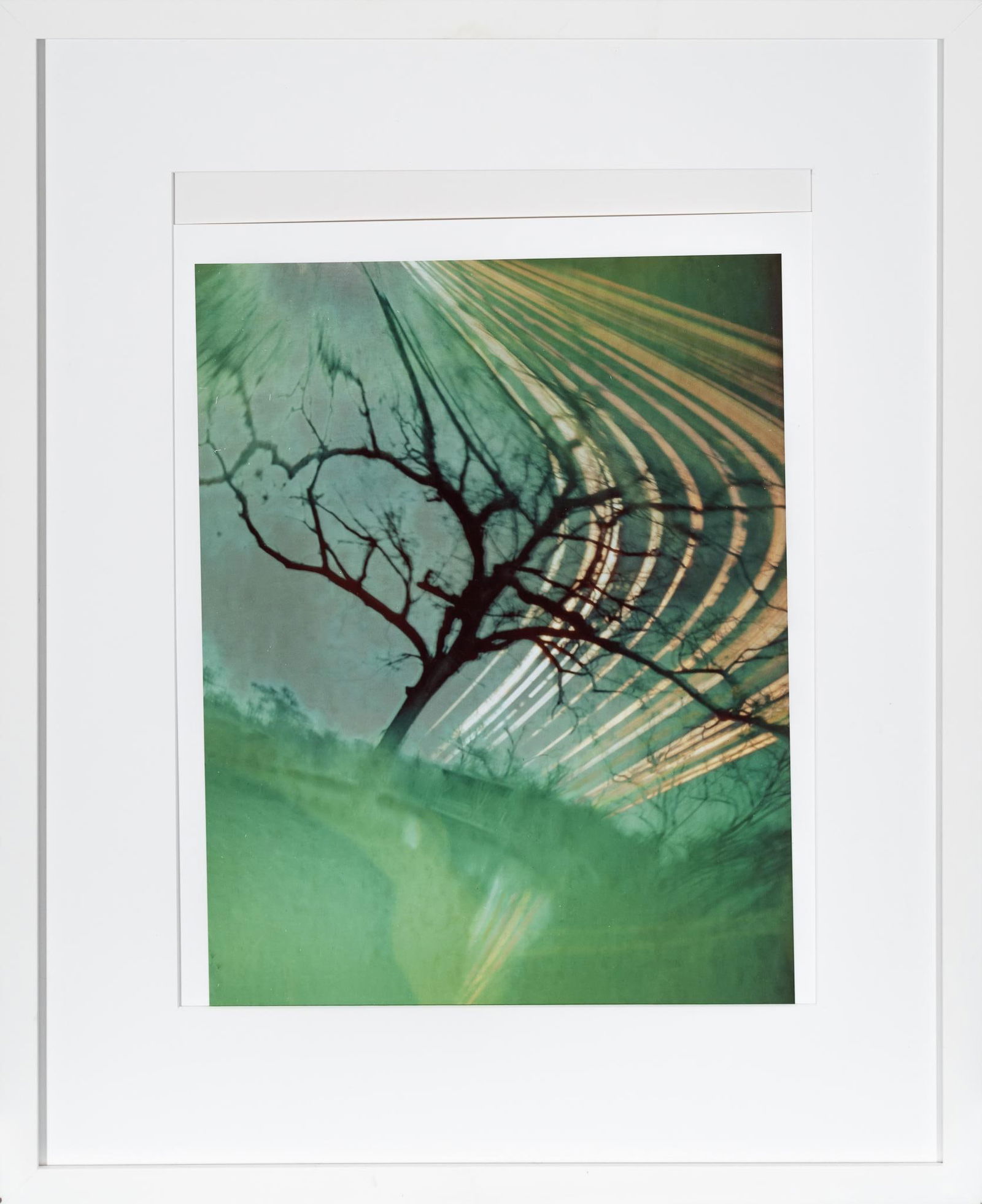 Solargraph Photograph Signed Bill Wittliff: Bill Wittliff (1940-2019, USA) "From the Right Hand of Jesus" (121 days), 20th century solargraph photograph, which is a long-duration image of the sun's path, captured by a pinhole camera, framed and