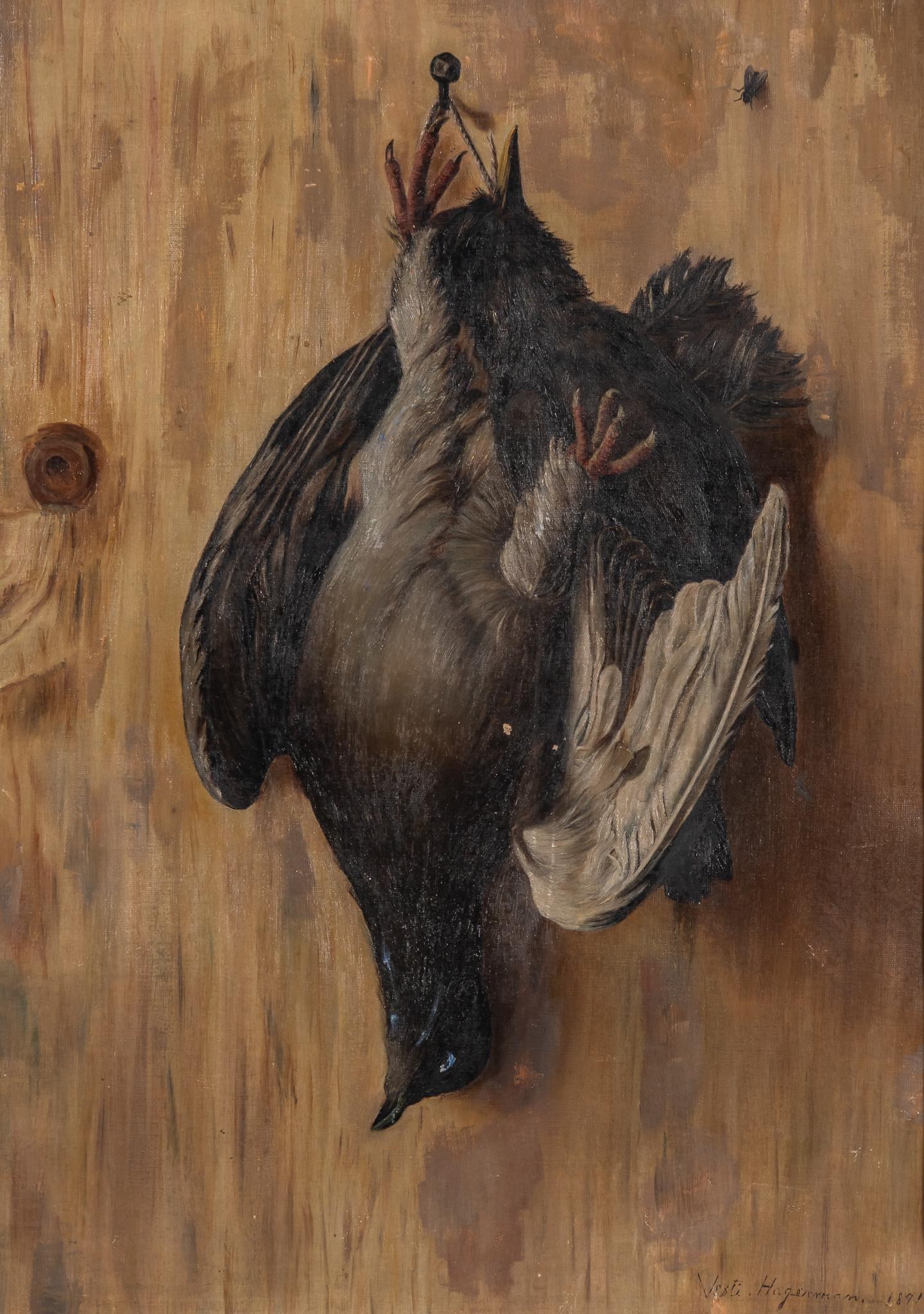 Vesti Hagerman, Trompe l'Oeil Game Bird, 1891: Vesti Hagerman, trompe l'oeil game bird, 1891, inscribed to verso: Nov. 1891, with faint artist's signature sight: 16.5 x 12 in., frame: 21.5 x 17 in. Provenance: Property from a Bergheim, Tex