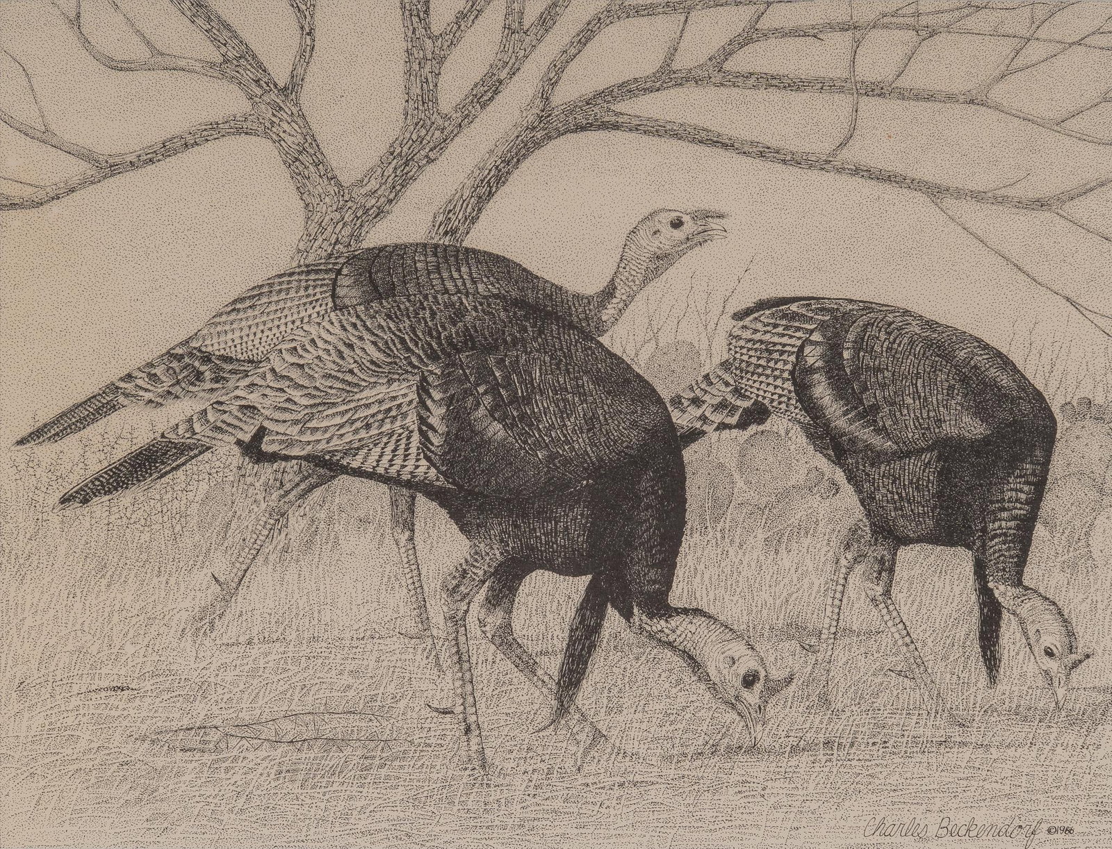 Charles Beckendorf, "Hill Country Turkeys", 1996: Charles Beckendorf (Texas, 1930-1996), "Hill Country Turkeys", 1996, lithograph from an open edition sight: 13 x 17.5 in., frame: 21.5 x 25.5 in. Provenance: Property from an Arlington, Texas 