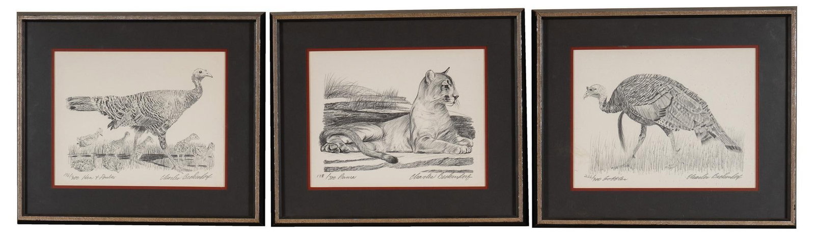 Charles Beckendorf, Puma and Turkeys Lithographs: Charles Beckendorf (Texas, 1930-1996), collection of (3) monochrome lithographs, to include "Puma" 178/300, "Gobbler" 266/300, and "Hen & Poults" 196/300 sight: 9 x 12 in.,