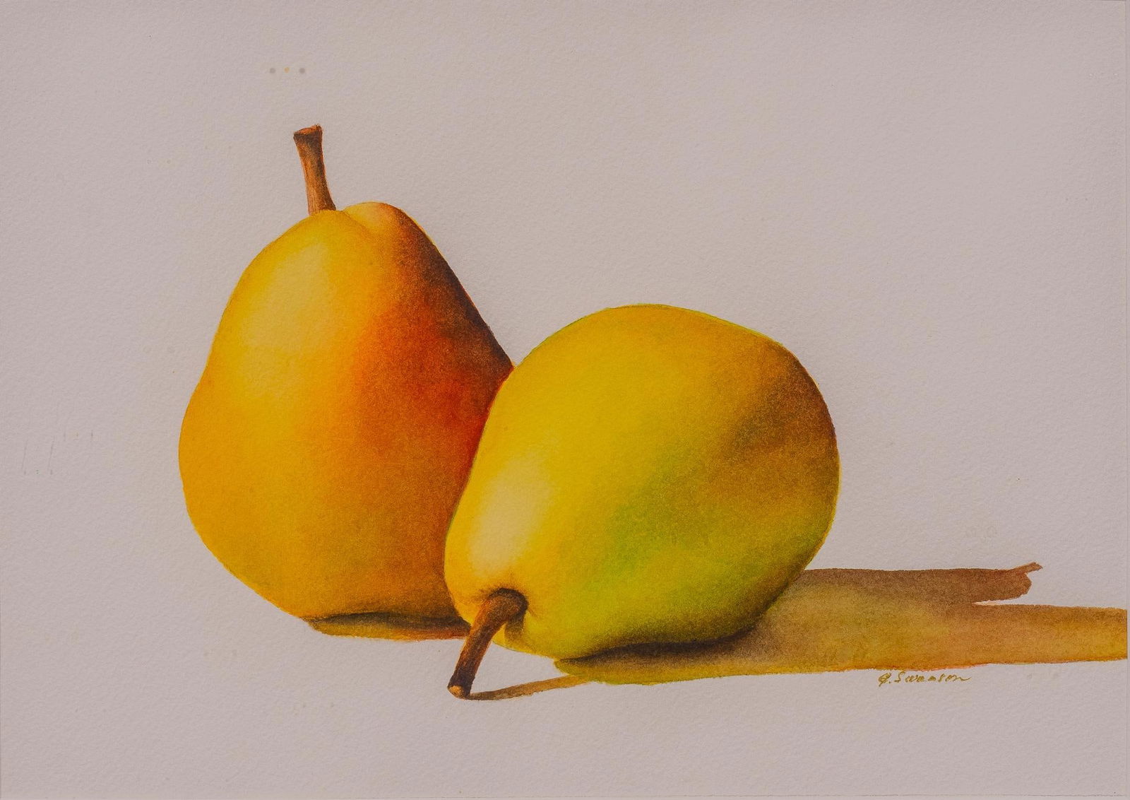 G. Swanson, Two Pears (1 of 4)