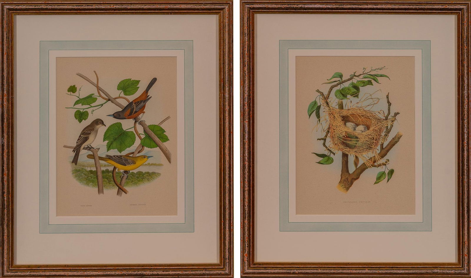 Collection of (2) Vintage French Engravings (1 of 7)