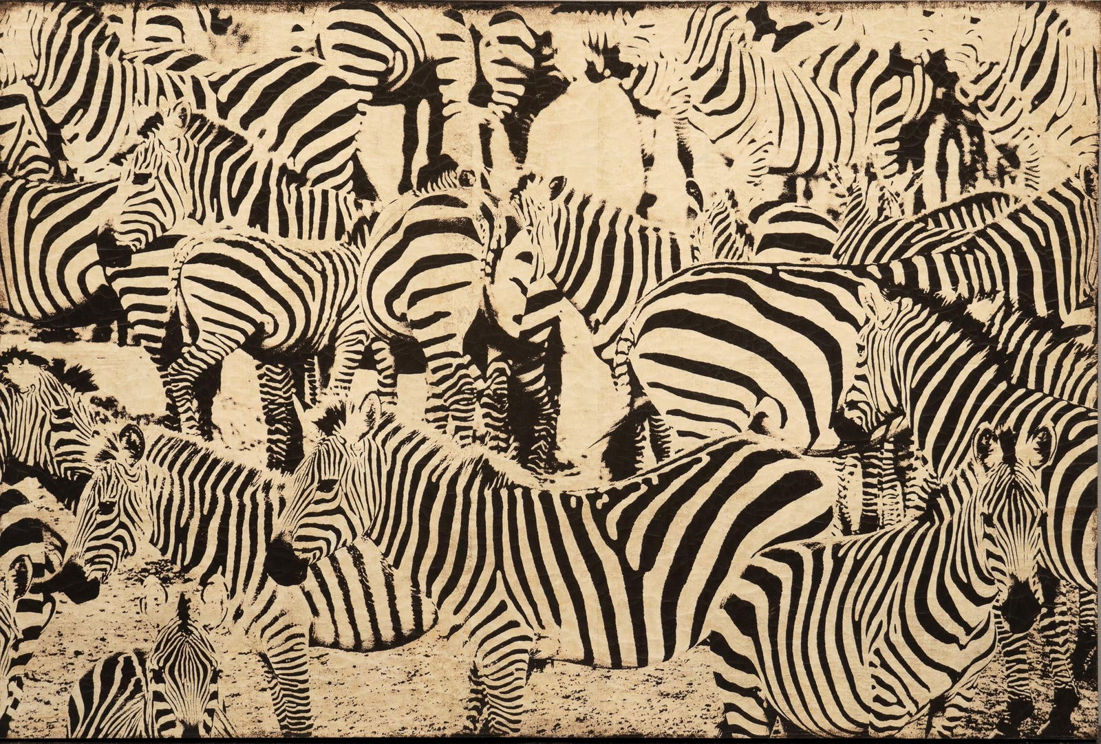 Mod Zebra Print (1 of 2)